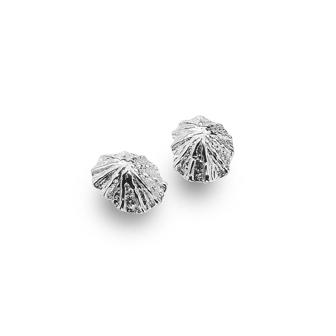 Limpet Shell Studs