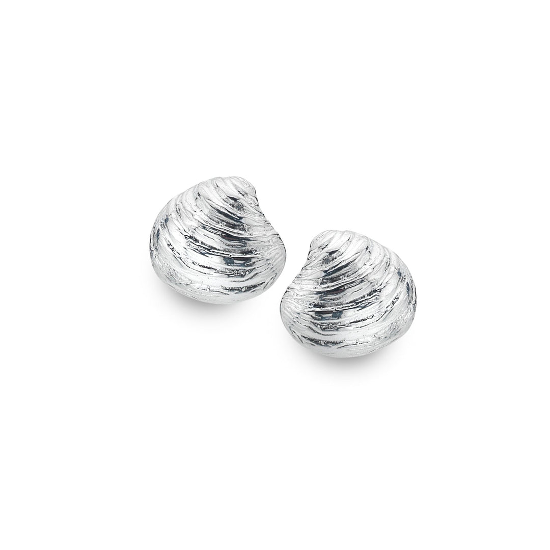 Mounts bay clam shell studs