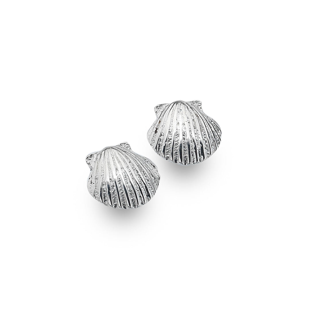 Baby Scallop Shell Studs