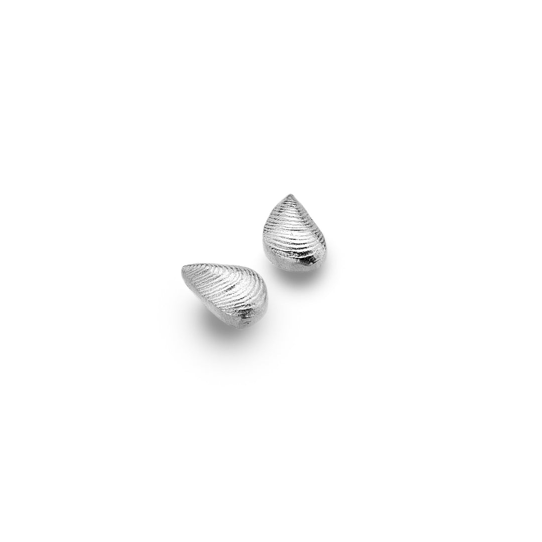 Tiny Mussel Shell Studs